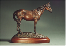 'Safe Home'<br/>EQUINE ADVOCATES AWARD